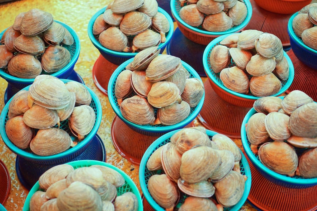 South Korea - Busan - Jagalchi Fish Market 3