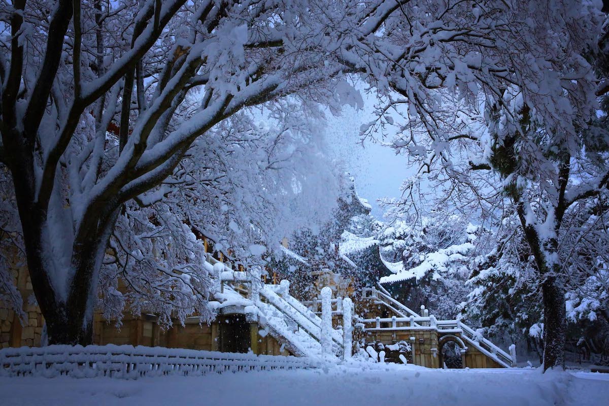 South Korea - Gyeongju - Bulguksa Temple 3
