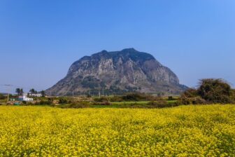 South Korea - Jeju Island 4