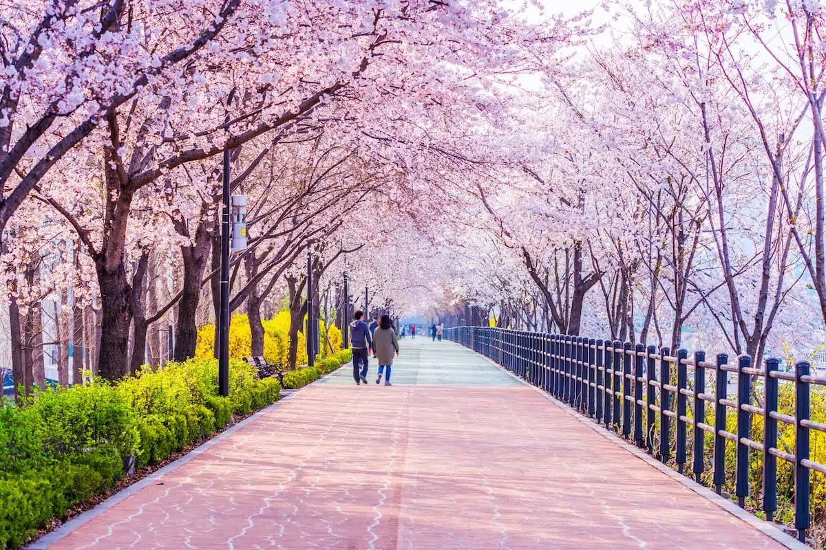 South Korea - Seoul 3