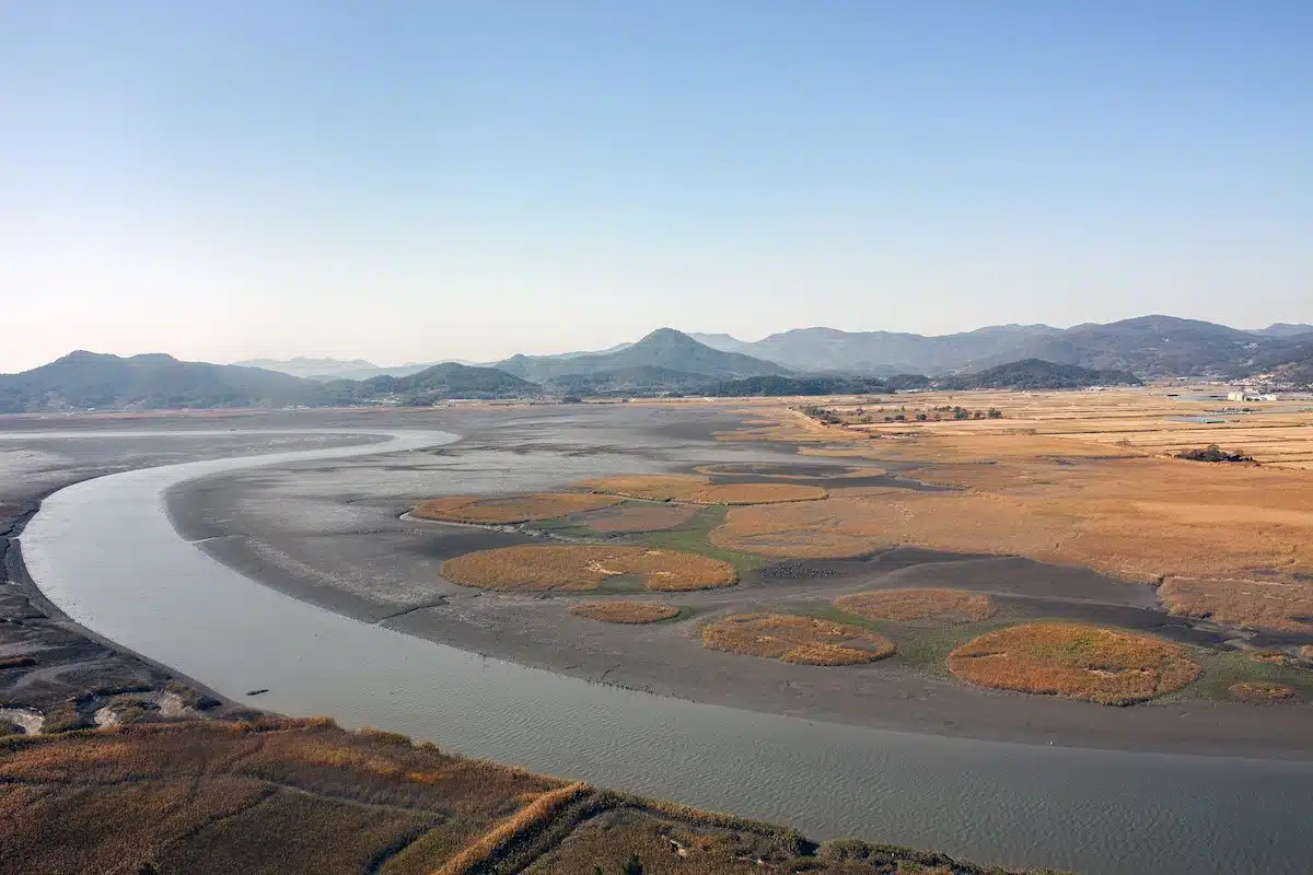 South Korea - Suncheon - Baie Suncheon 1