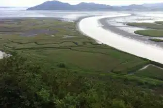 South Korea - Suncheon - Baie Suncheon 2