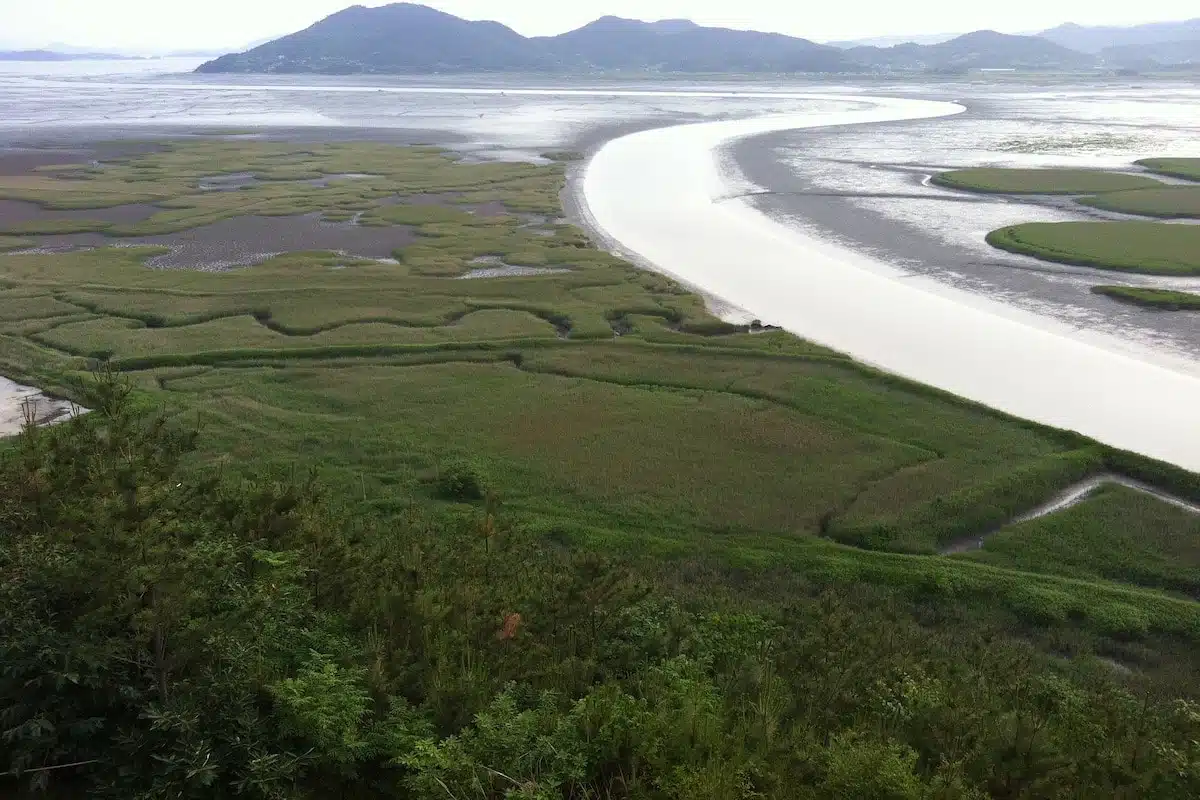 South Korea - Suncheon - Baie Suncheon 2