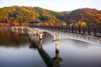 Vignette - South Korea - Andong - Woryeonggyo Bridge
