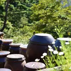 South Korea - Ganghwado 2