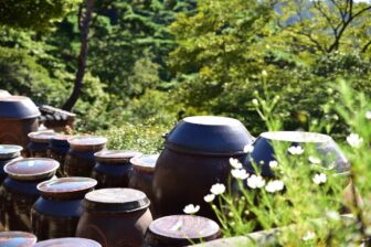 South Korea - Ganghwado 2