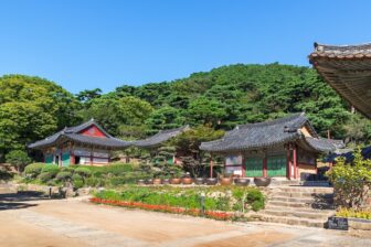 South Korea - Ganghwado 3