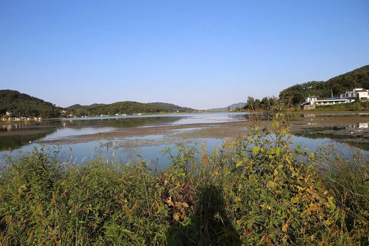 South Korea - Ganghwado 5