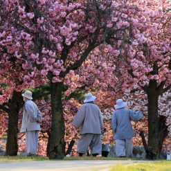 South Korea - Gyeongju - Bomun 1
