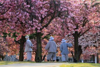 South Korea - Gyeongju - Bomun 1