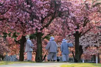 South Korea - Gyeongju - Bomun 1