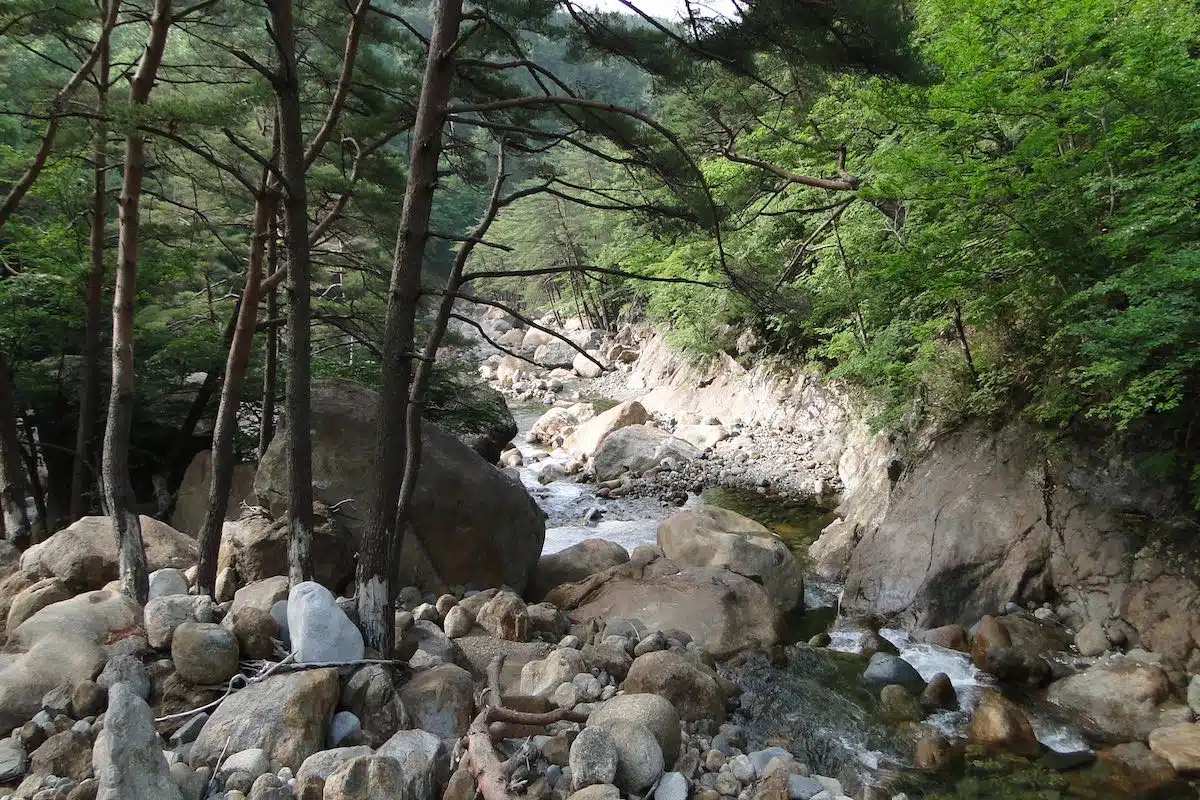 South Korea - Jirisan 5