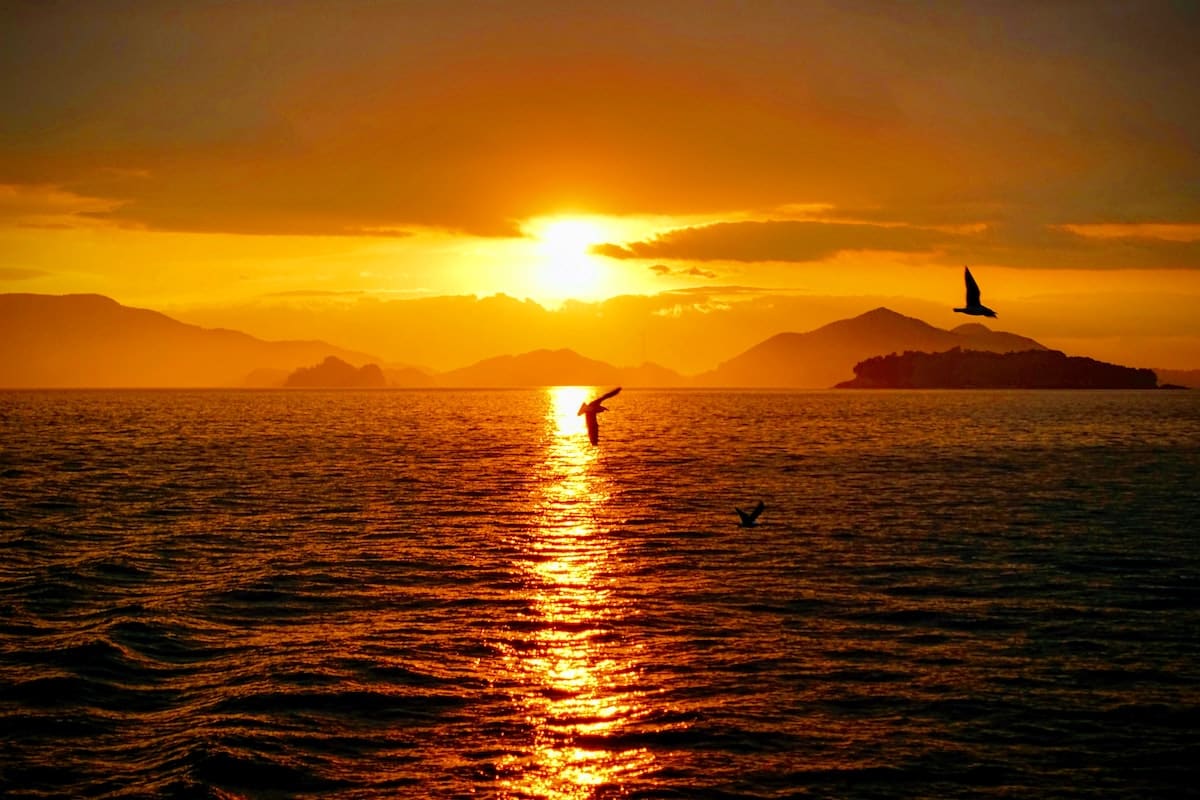 South Korea - South Gyeongsang 2 - Hailey