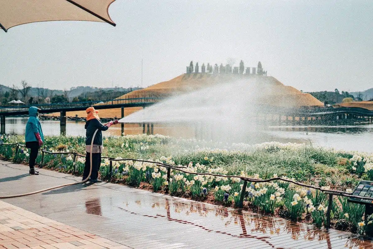 South Korea - South Jeolla 3 - Suncheon Bay