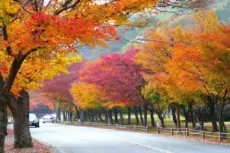 Naejangsan 내장산