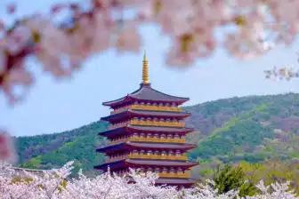 circuit combiné Corée - Japon